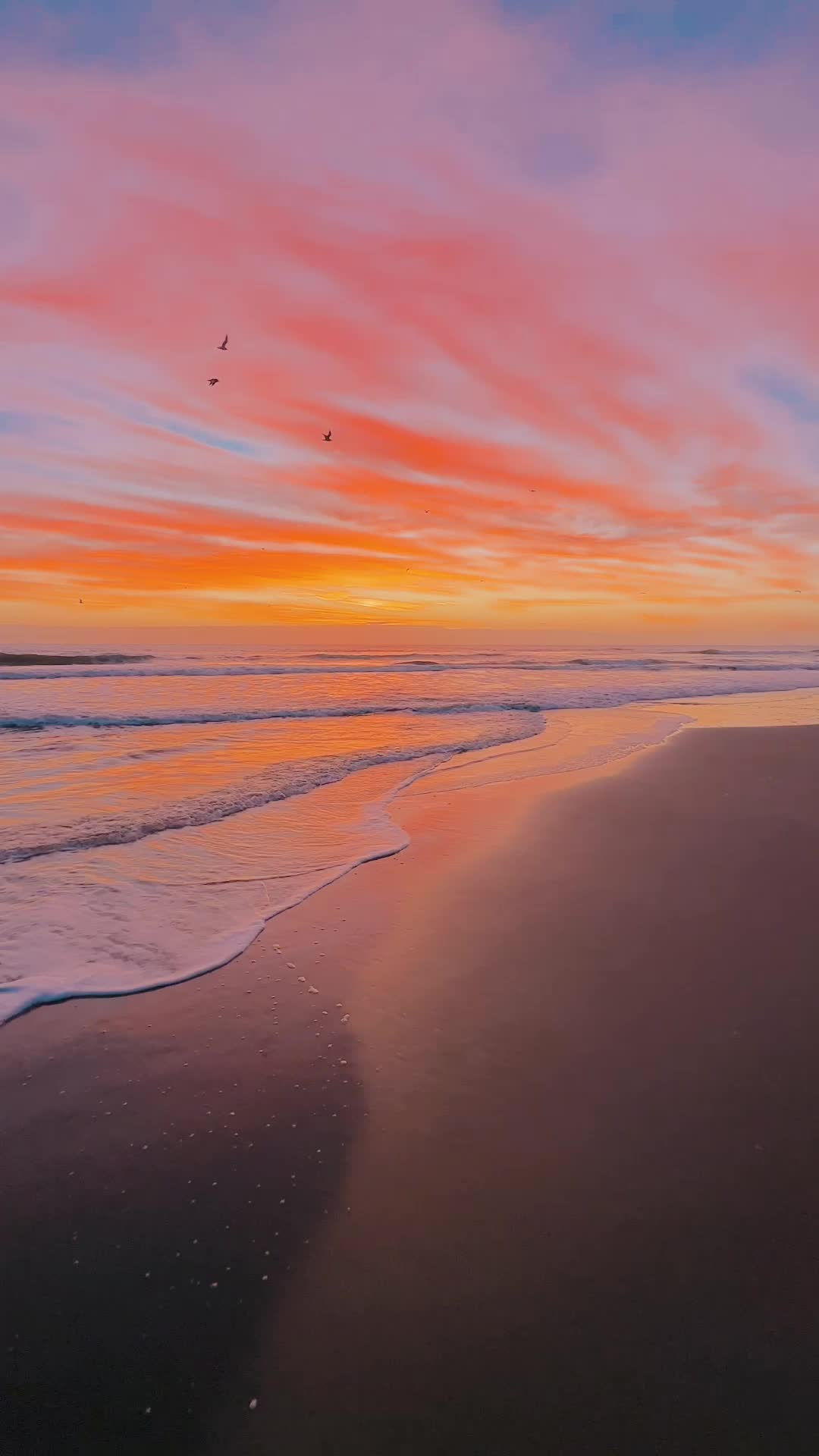 @vb_sunrise