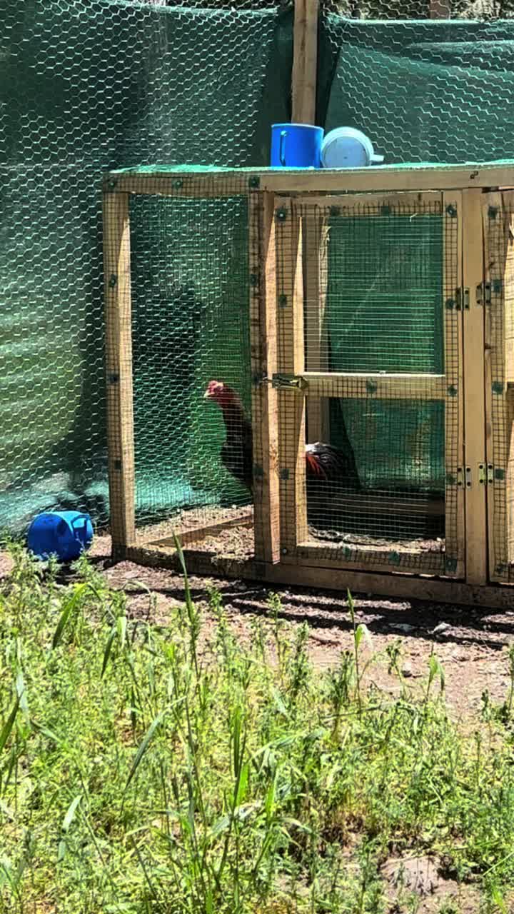 @Sivas Aslanları 🦅