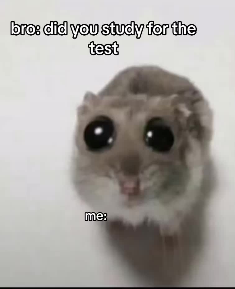 @7_S_7