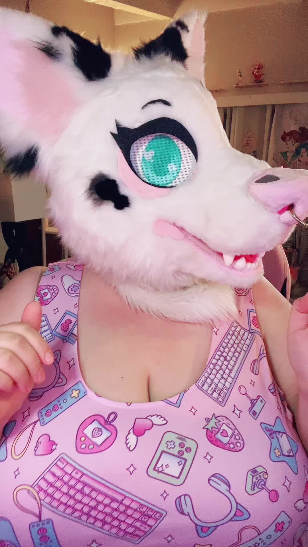 @Maisie ✨ Corgi VTuber