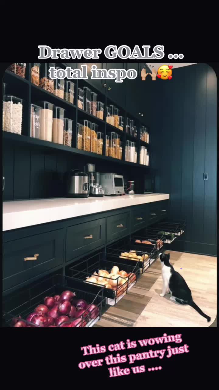 @Tidie.me