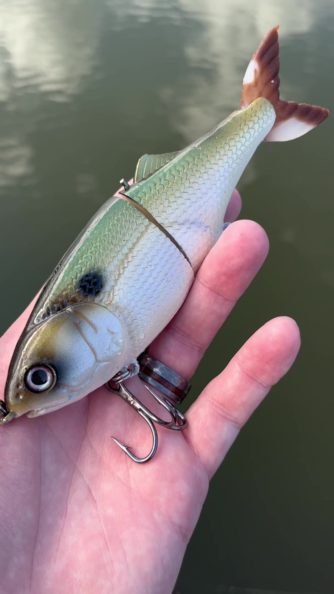 @grovesbaitco