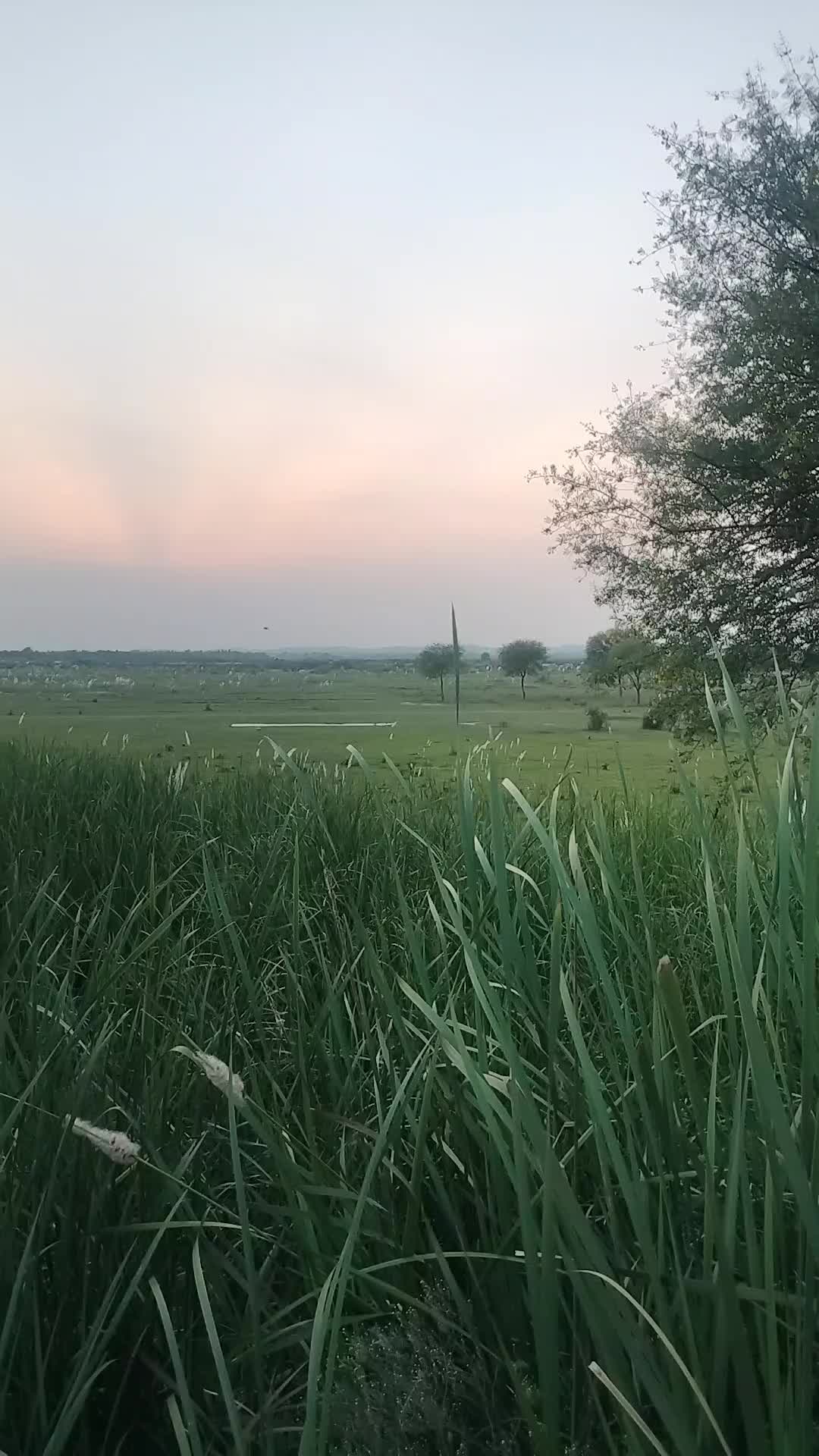 @Gujrati
