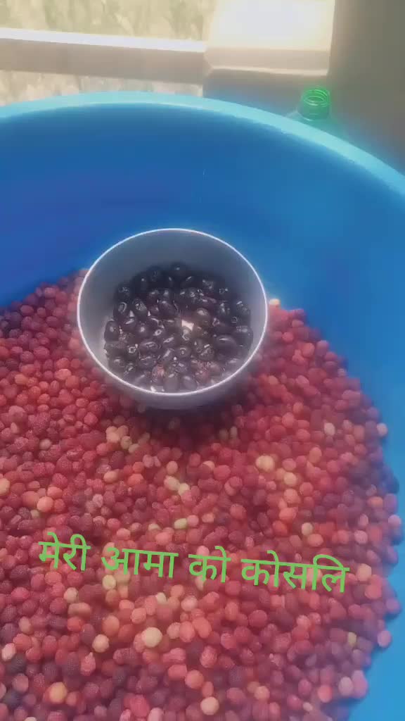 @ashathada3