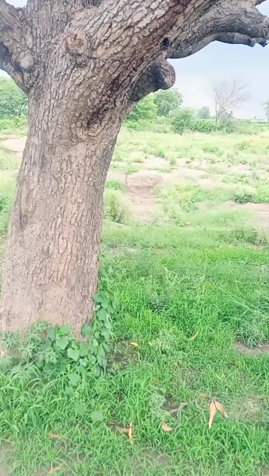 @Ankit malviya