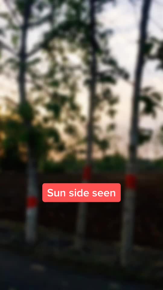 @Anuj Shukla