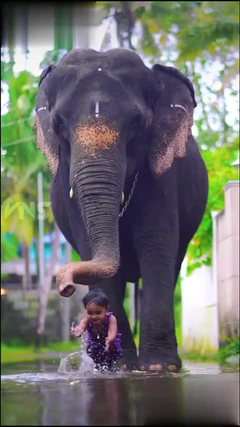 @Abhi Appu