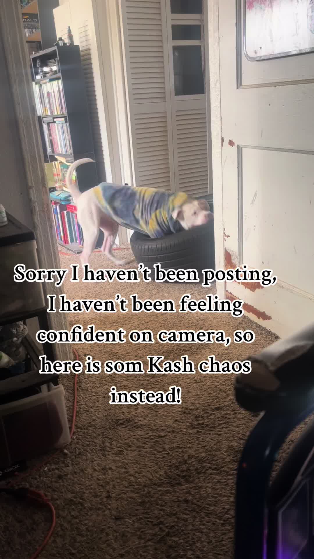 @OneLeggedBadass