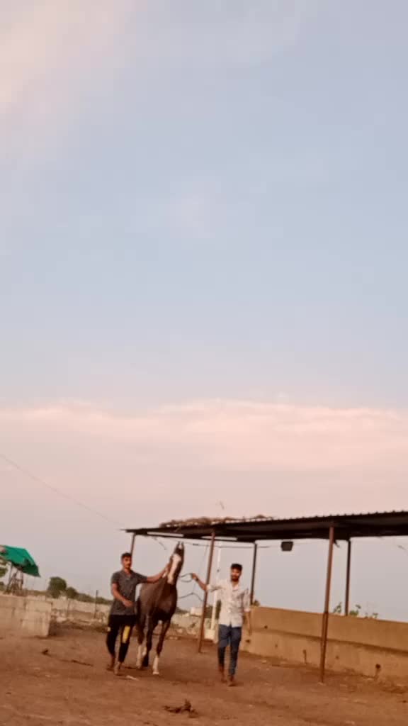 @Mojilo.MalDhari