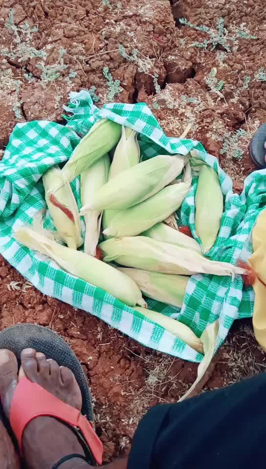 @Sai Dharam Tej