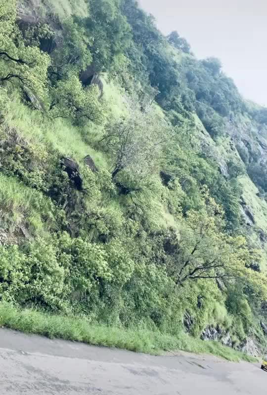 @yashu