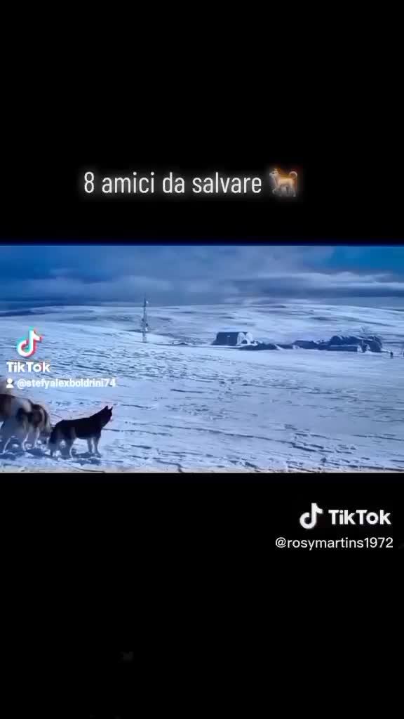 @Stefania Boldrini