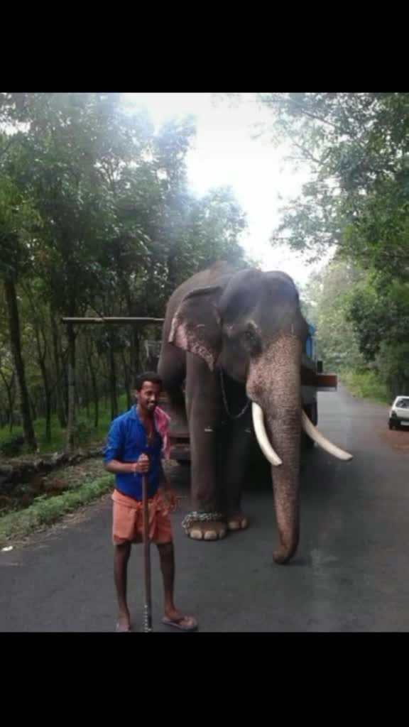 @കൊമ്പൻ