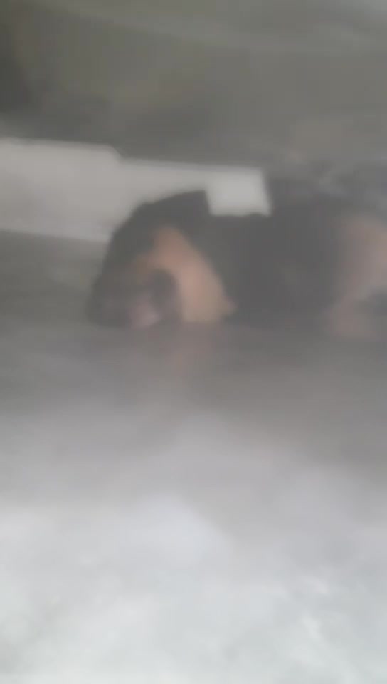 @user6774824093603