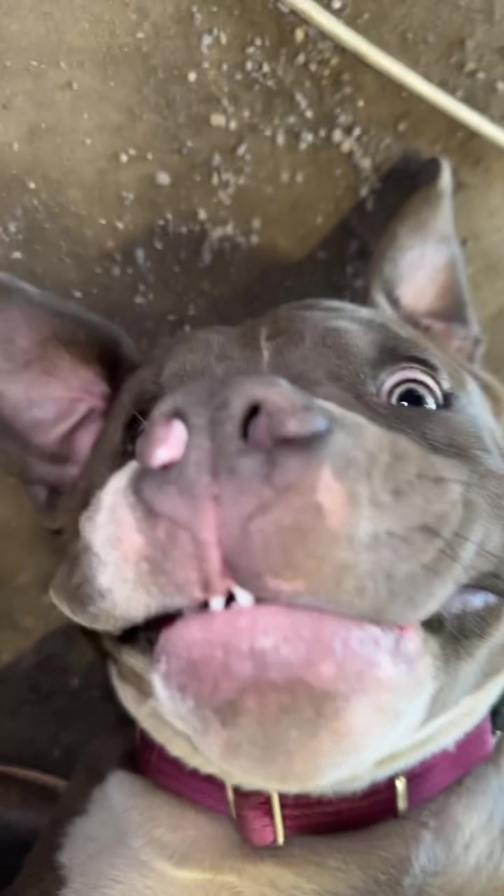 @Karlee Vierra