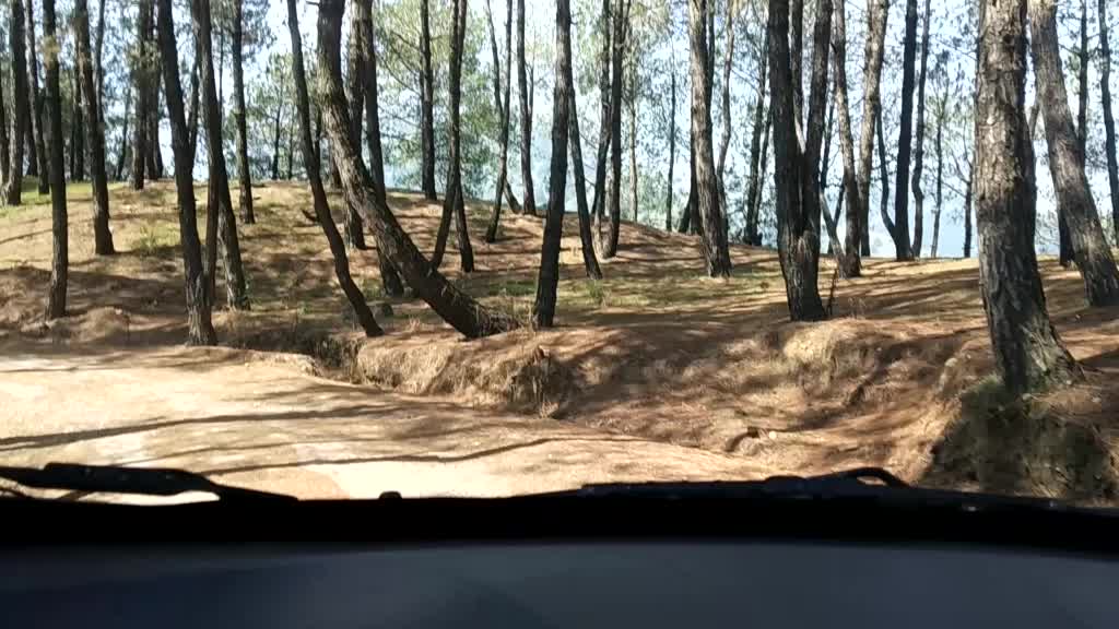 @Amåñ Thakur