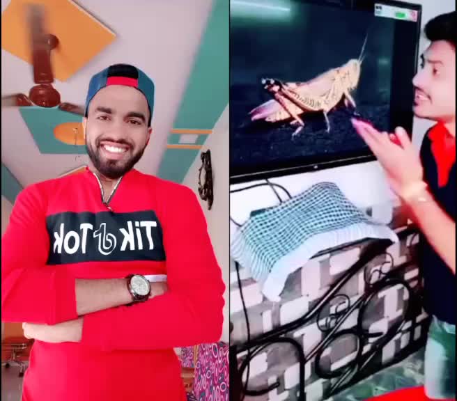 @Rupeshmune
