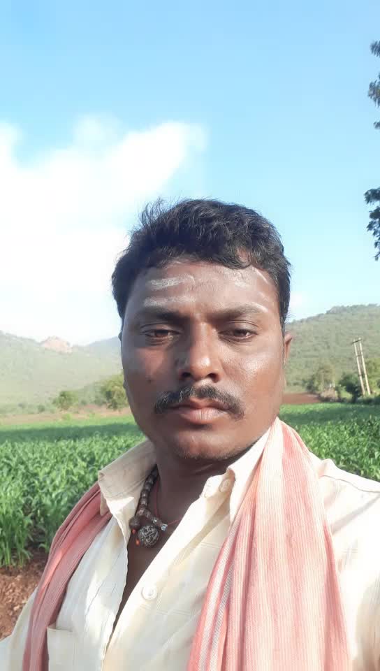 @user53001516660