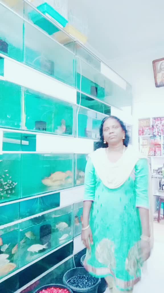 @vidhya biju