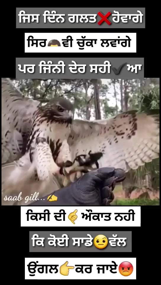 @user171169573695