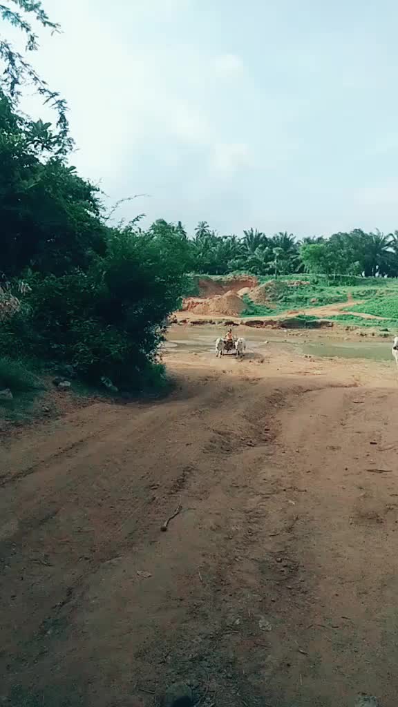 @M Kranthi