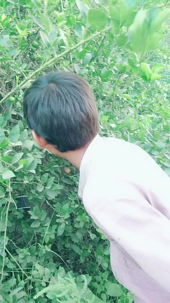@Ajitvaghela Ajitvagh