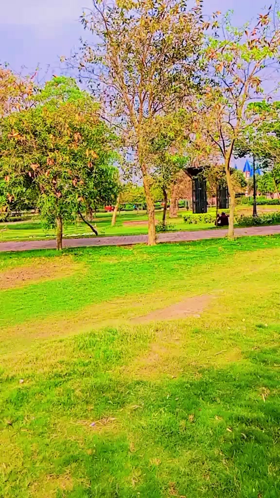 @سردار سعید منگول