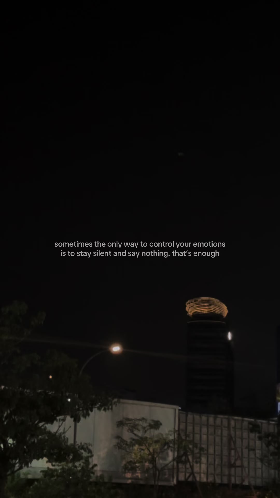 @Something I couldn&rsquo;t say.