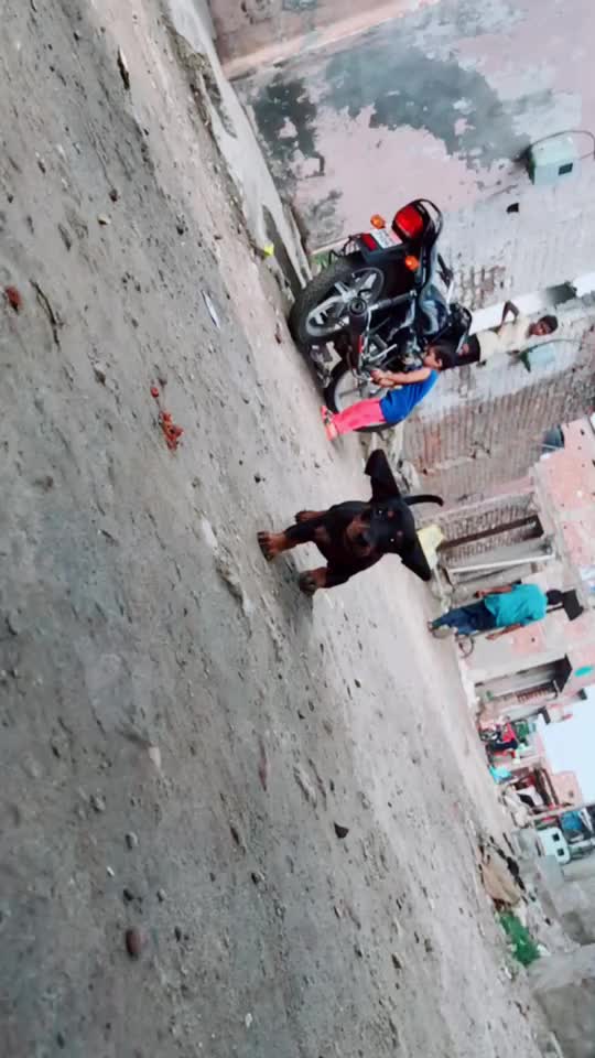 @Ravneet ludhiana