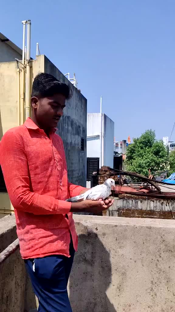 @_Abhijit_