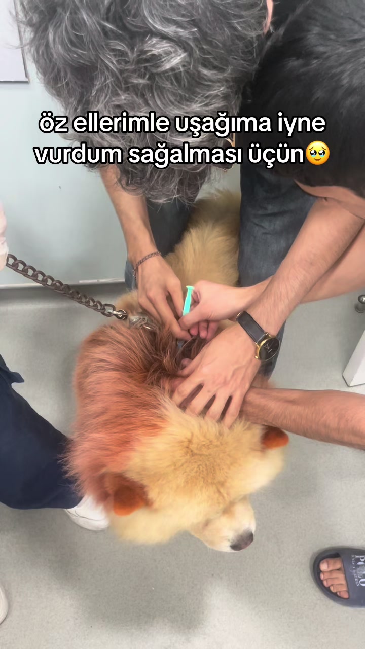 @tobi_bakılı