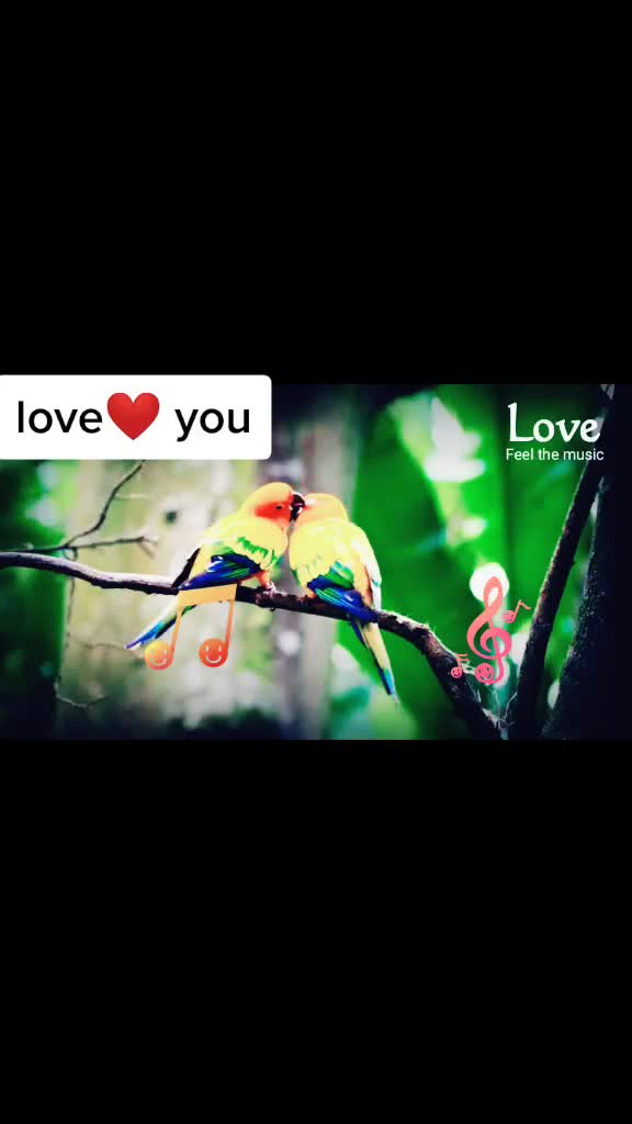 @solanki Aakash 1137