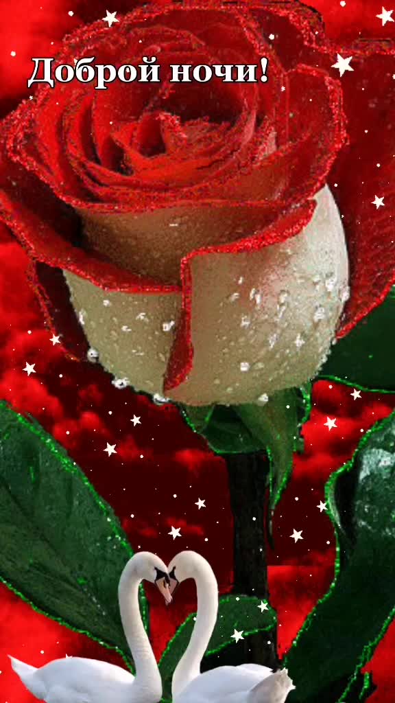 @user04012852532