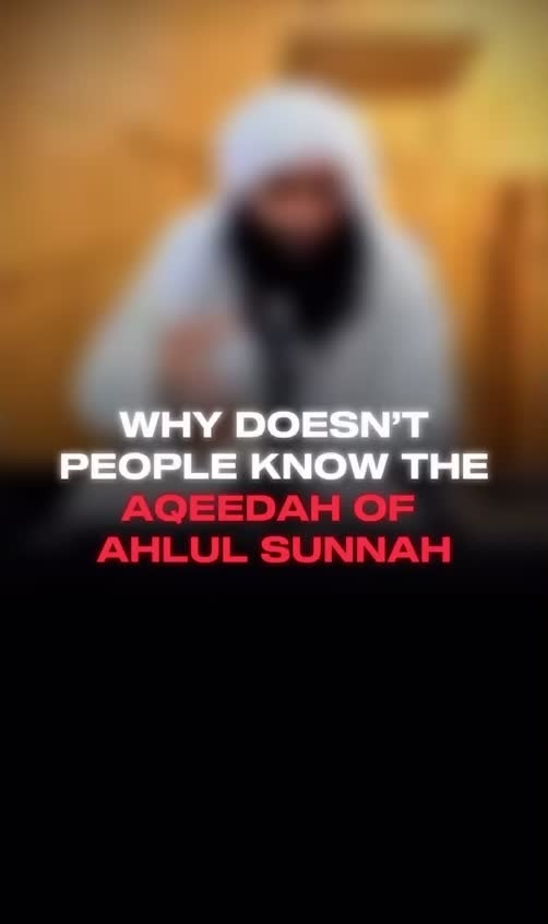 @TamimSalafiya