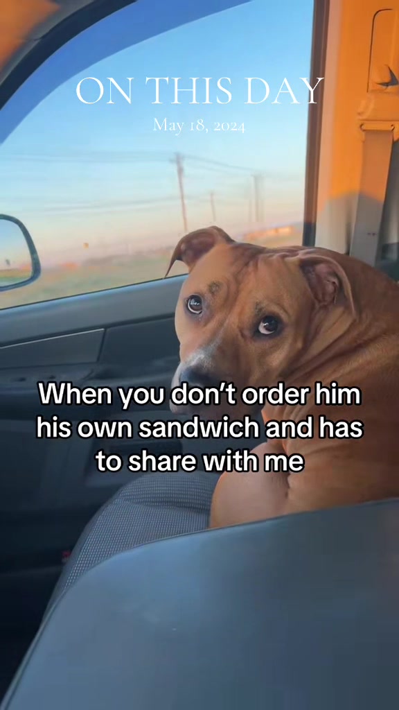 @Jordan & Amos 🐾