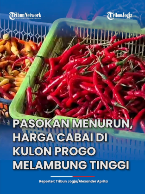 @tribunjogjadotcom