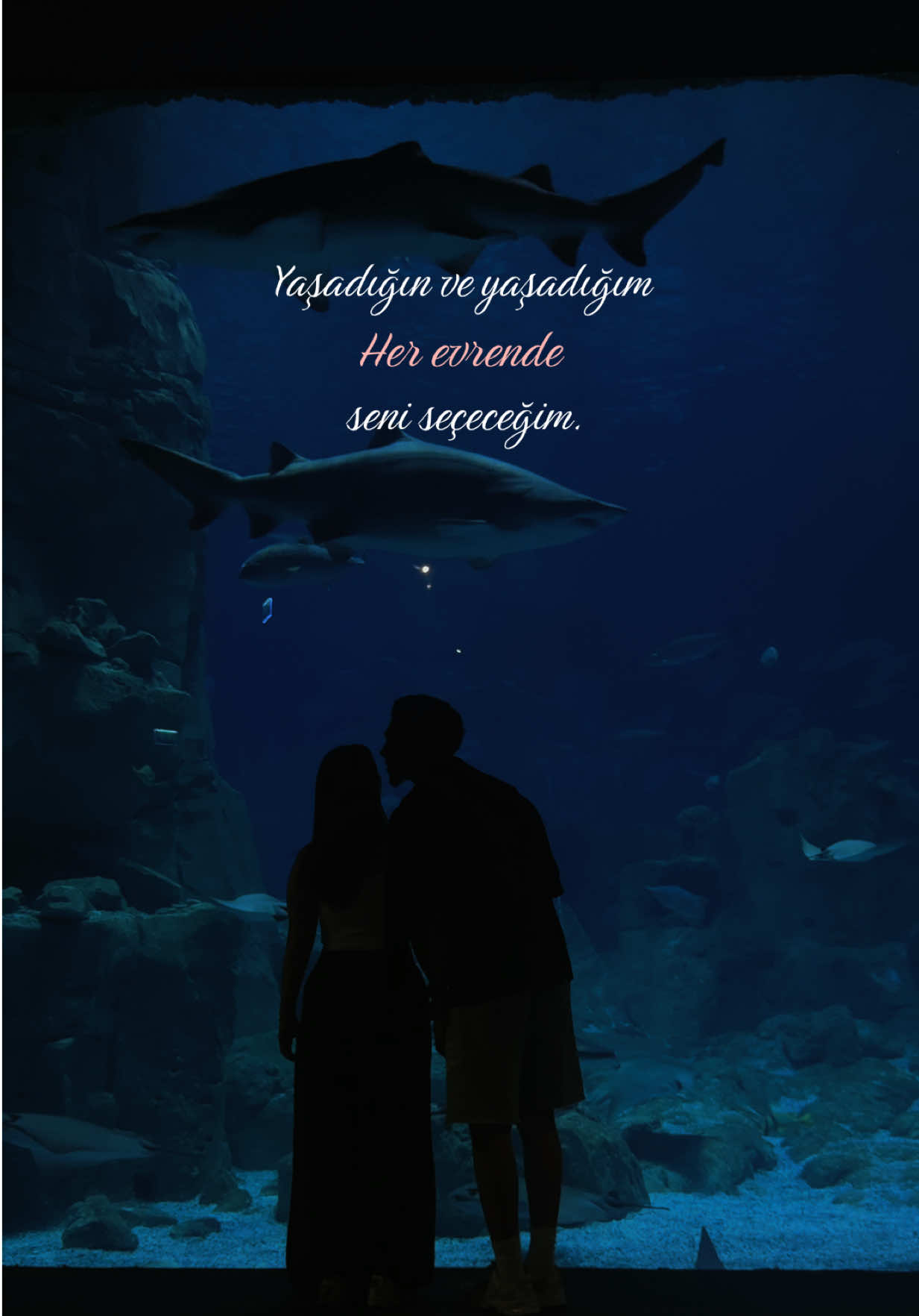 @Ebral