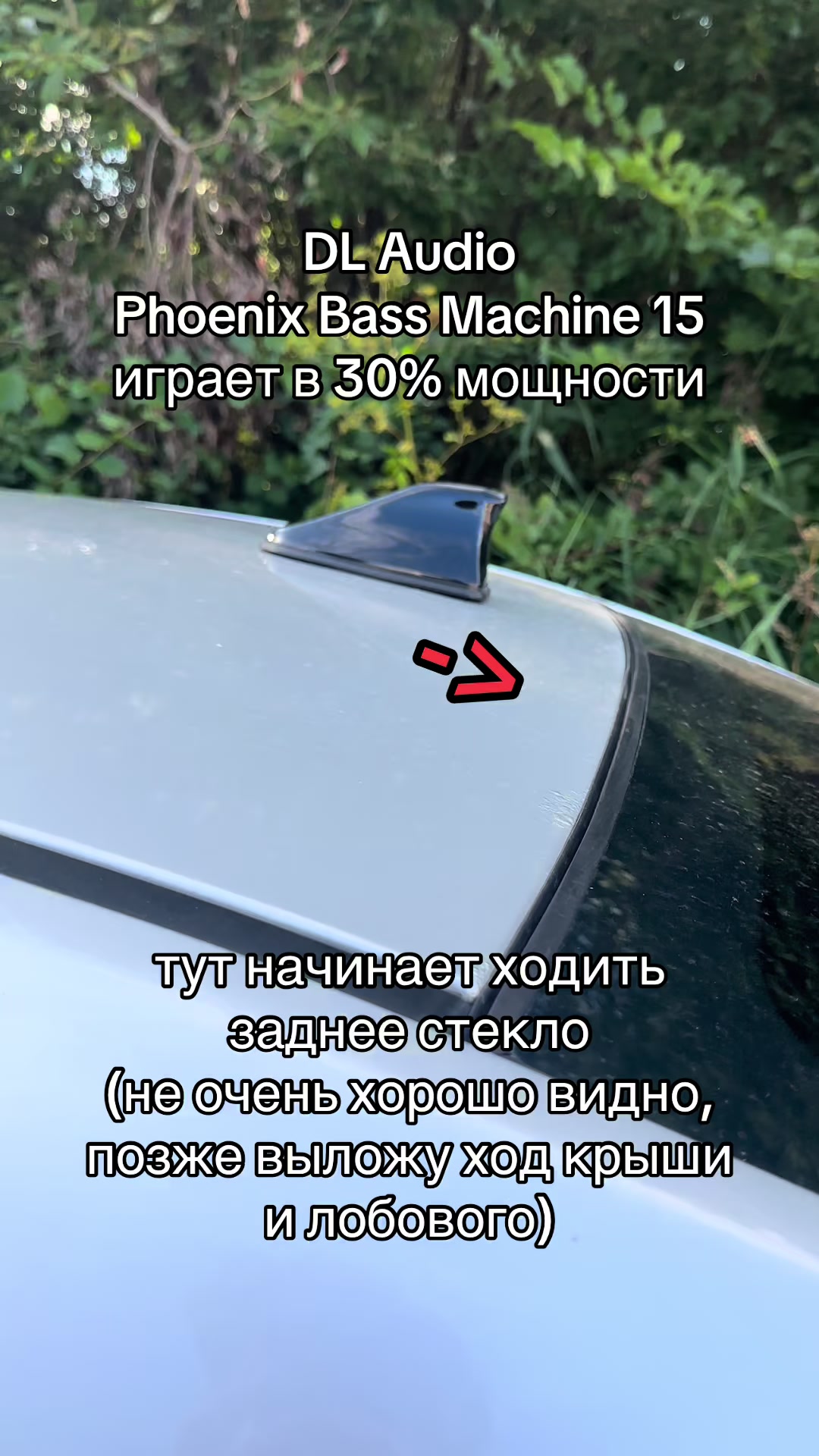 @Luxx_Polar