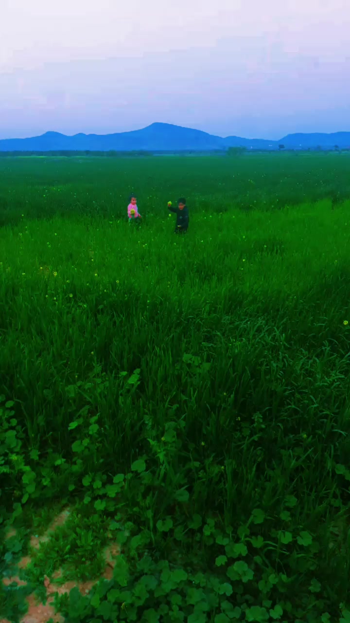 @مهدي مهدي