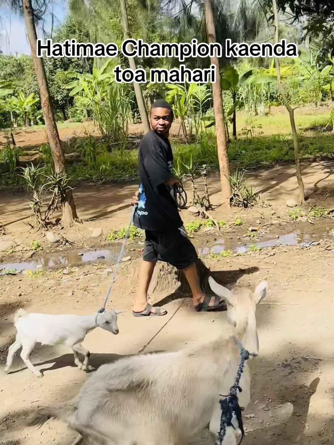 @Mr Liwalo na Liwe 🥴