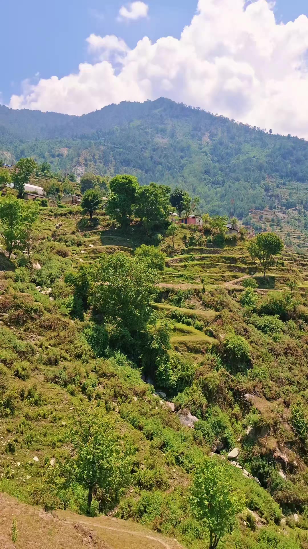 @स्मृति रोकाया"प्रेमाश्रु"💞