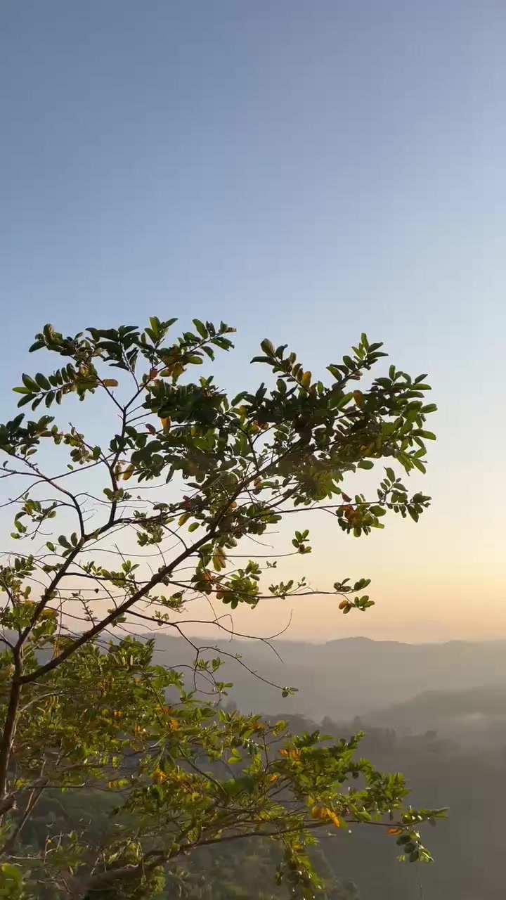 @Mungilsz
