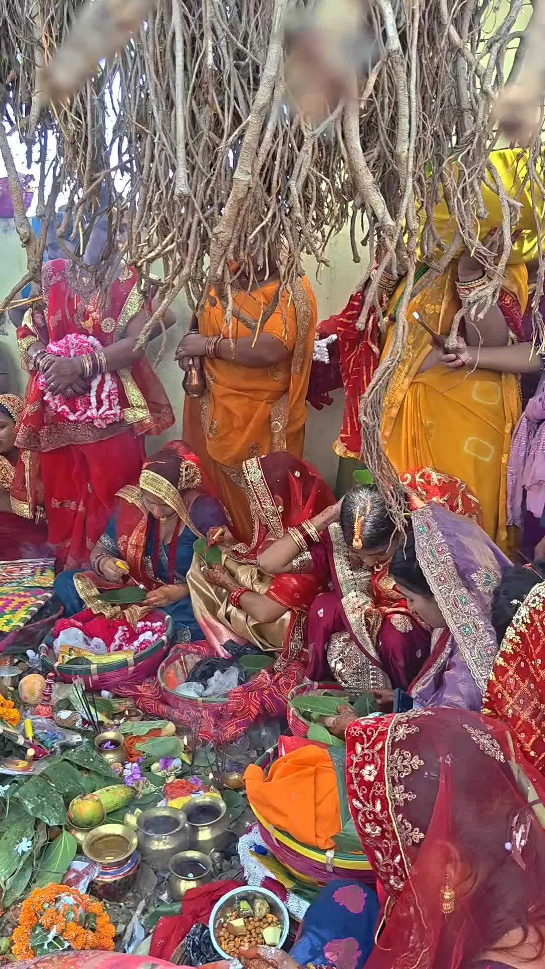 @anilbinita2