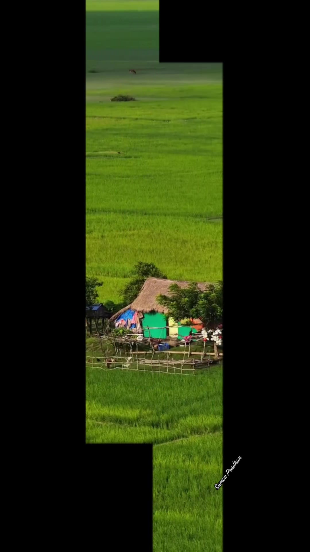 @সুমন প্রধান 🇧🇩🛬🇱🇷