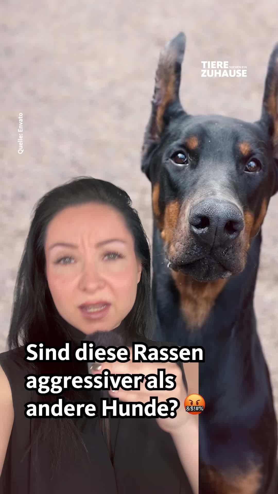 @Tiere suchen ein Zuhause