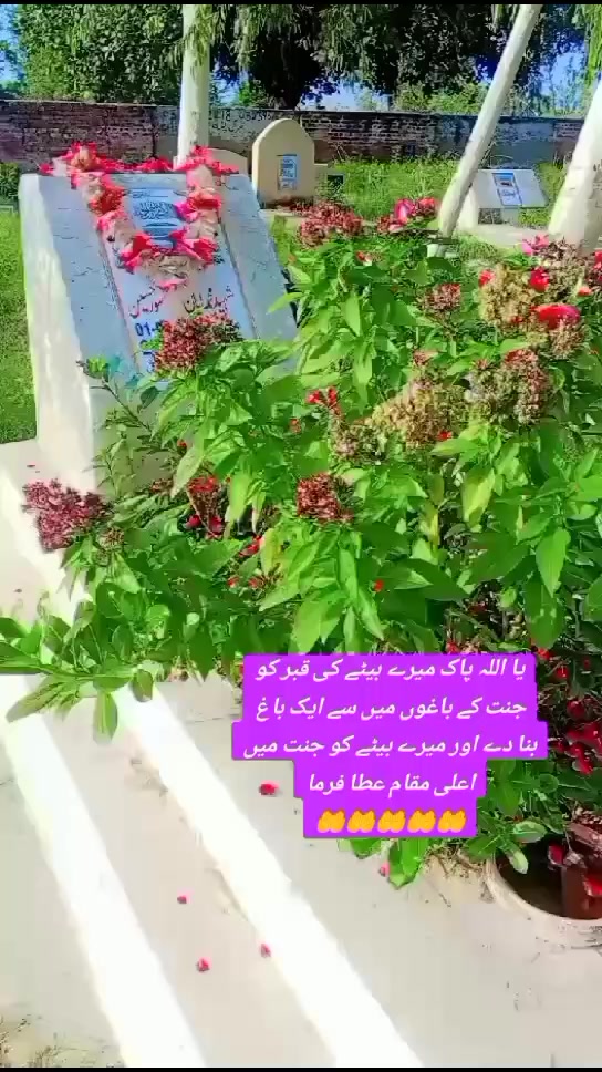 @Mohammad ayaan🌹❤️