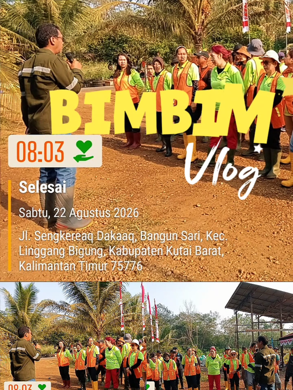 @BimBim123