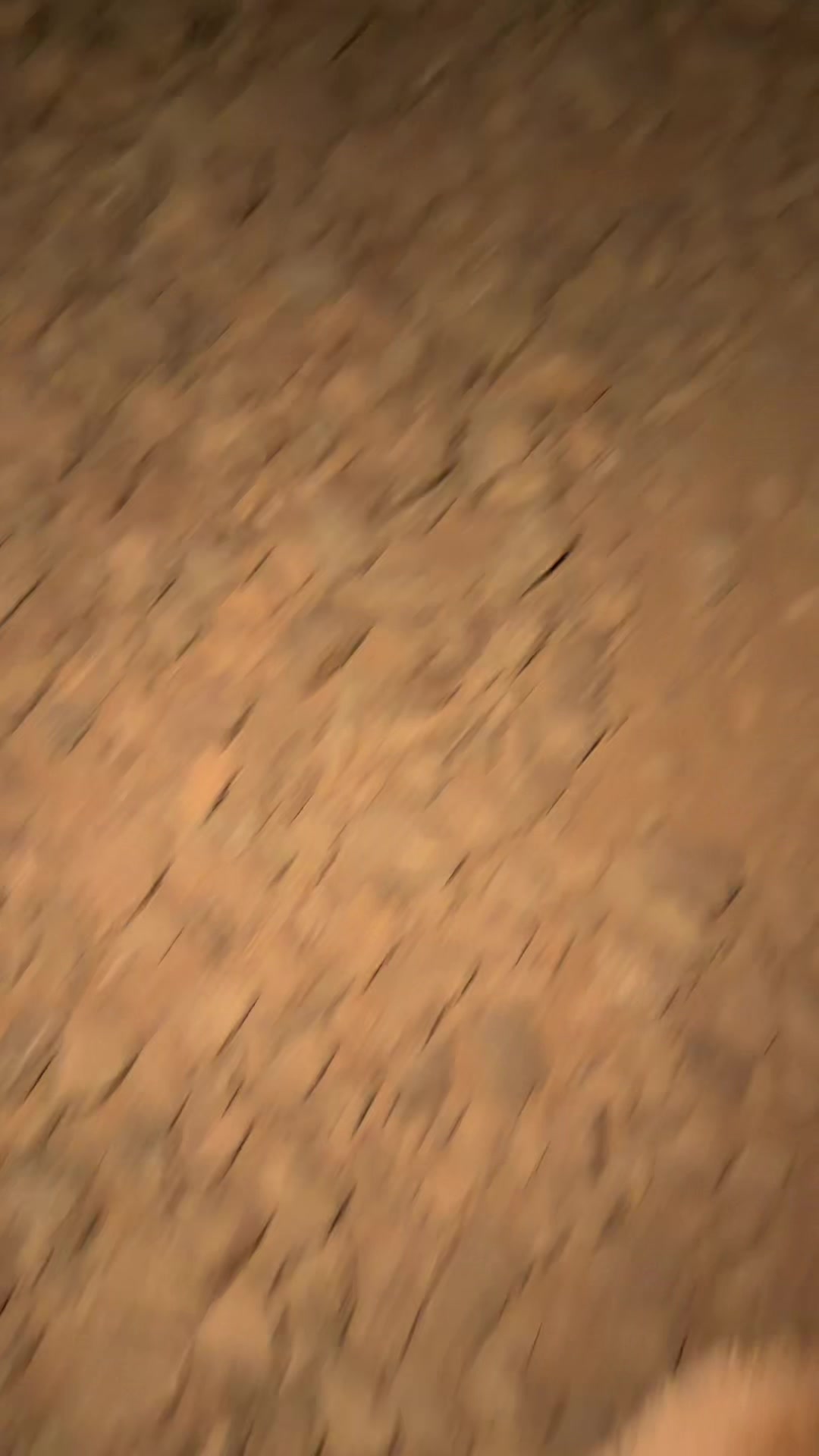 @аляляша