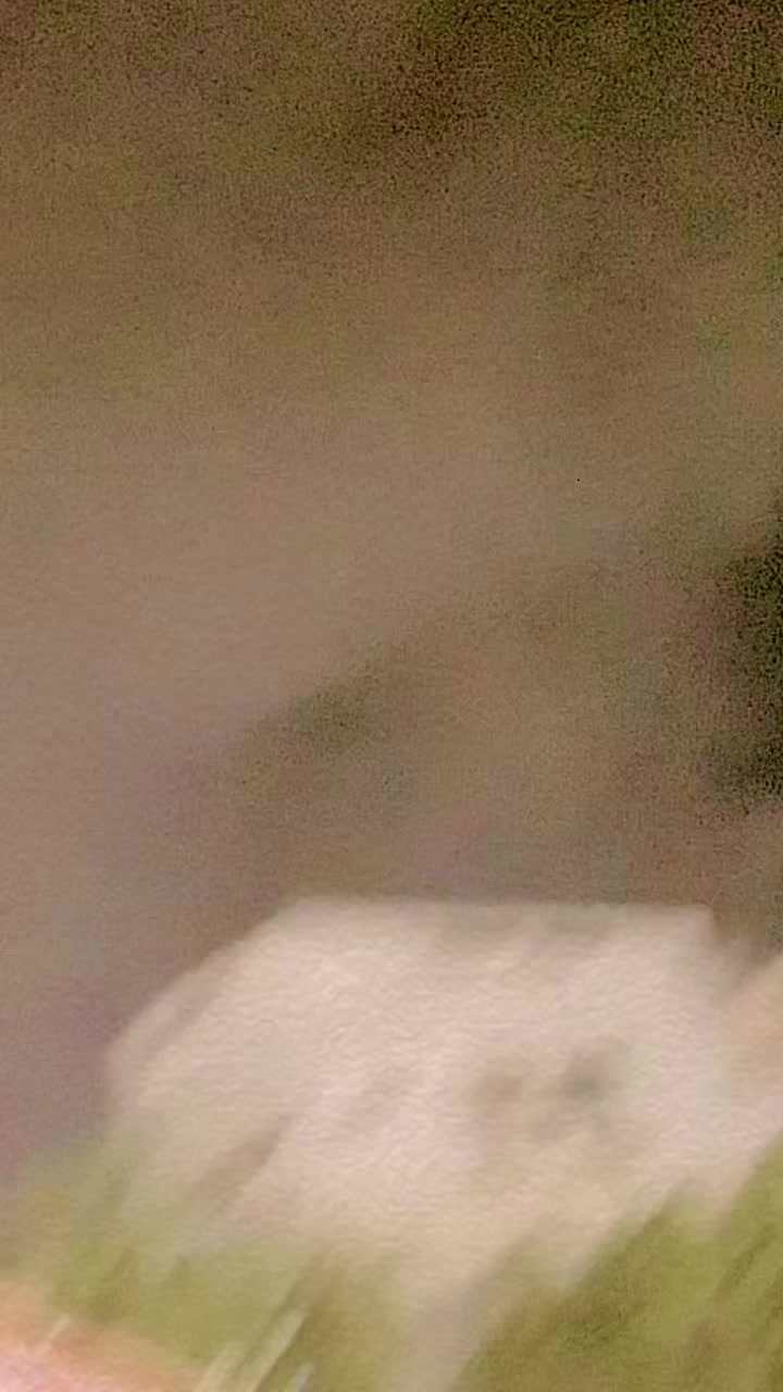 @Atif Janan