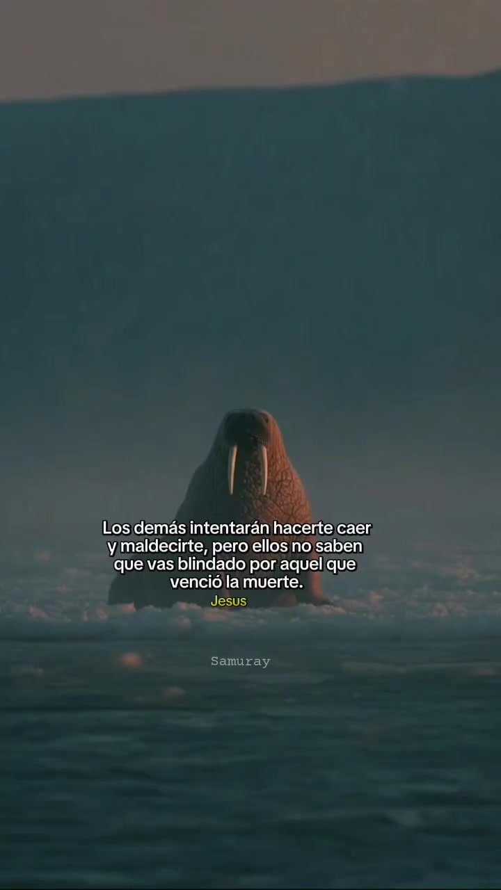 @Samuray ⚔️